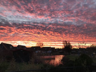 Holiday house Buitenplaats 75 - Outdoor photo 12