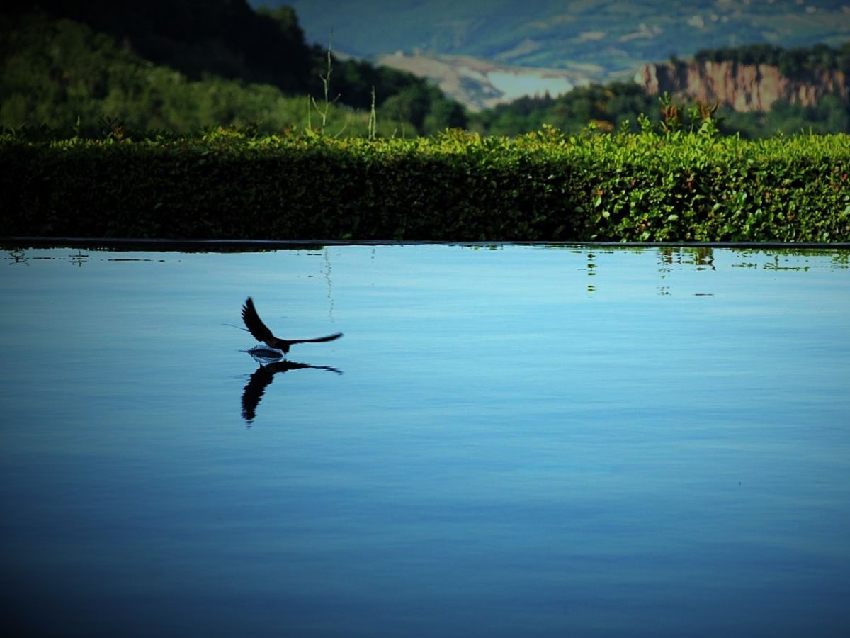 Holiday house Il Falco - Outdoor photo 2