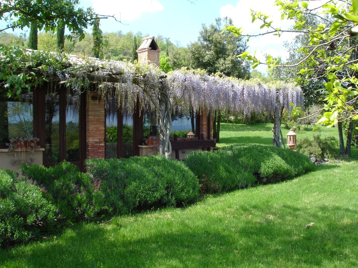 Holiday house Il Falco - Outdoor photo 3