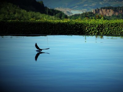 Holiday house Il Falco - Outdoor photo 2
