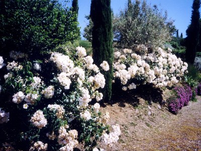 Holiday house Il Falco - Outdoor photo 7