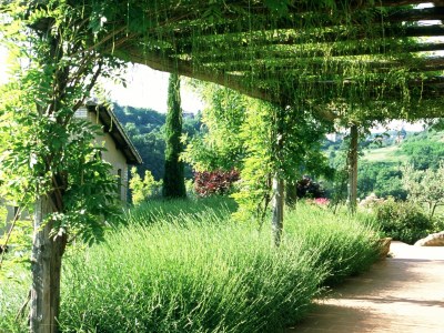 Holiday house Il Falco - Outdoor photo 9