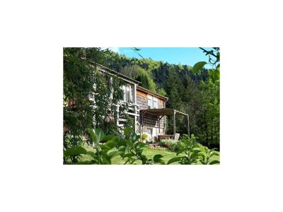 Chalet Chalet in Raon-l'Étape am See - Outdoor photo 7