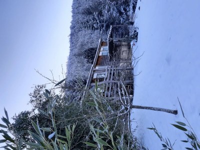 Chalet Chalet in Raon-l'Étape am See - Environment photo 24