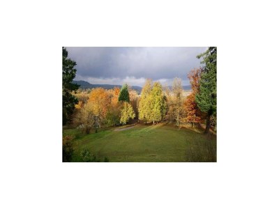 Chalet Chalet in Raon-l'Étape am See - Environment photo 31