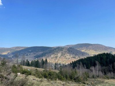 Chalet Chalet in Raon-l'Étape am See - Environment photo 32