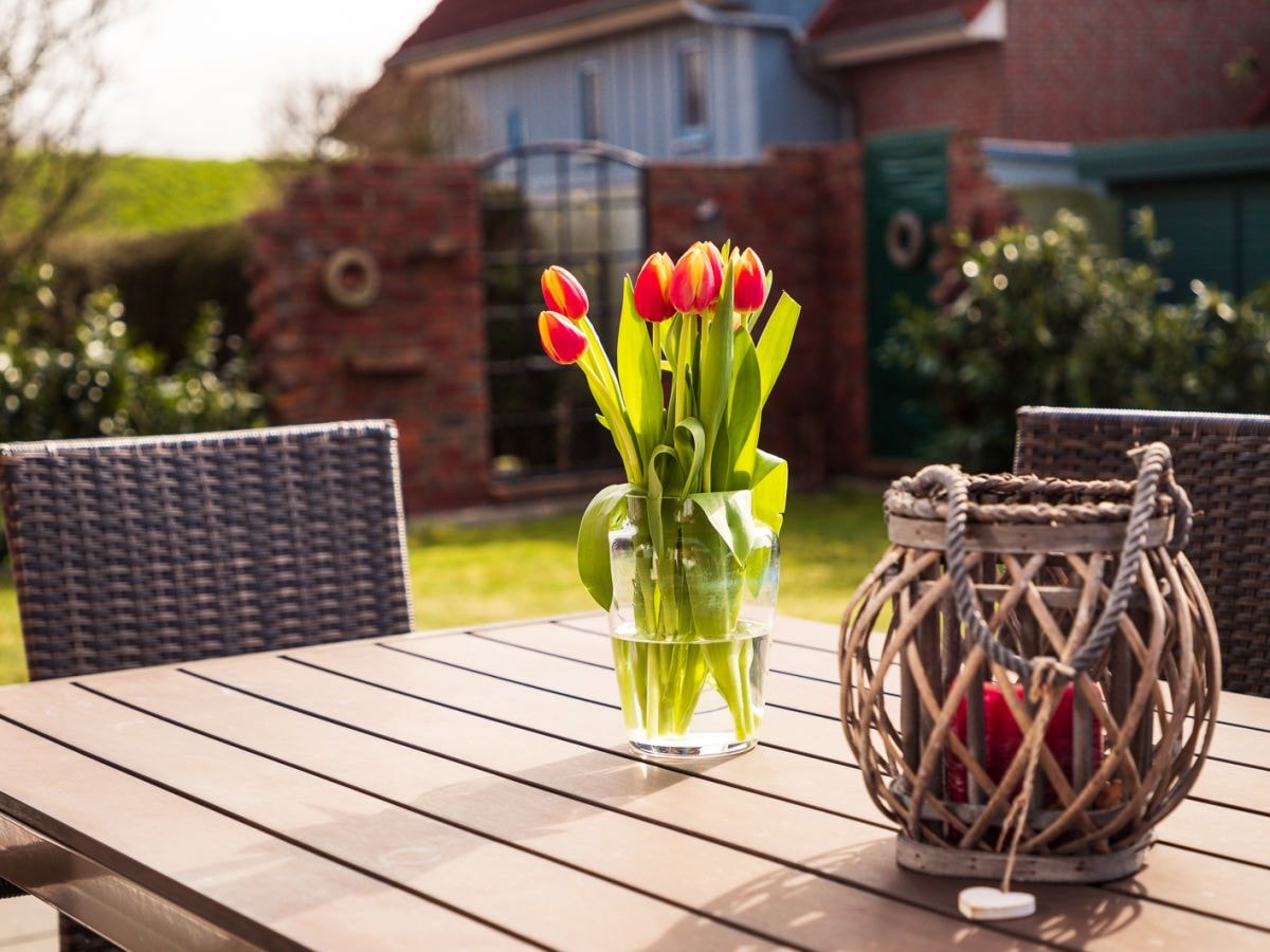 Holiday house am alten Deich - Outdoor photo 2