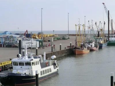 Holiday house am alten Deich - Environment photo 17