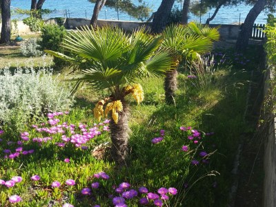 Holiday apartment Raffael - Outdoor photo 6