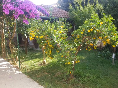 Holiday apartment Raffael - Outdoor photo 11