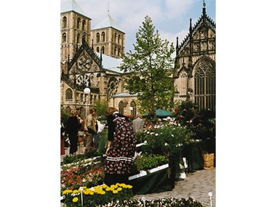 Holiday apartment Aasee Munster - Environment photo 27