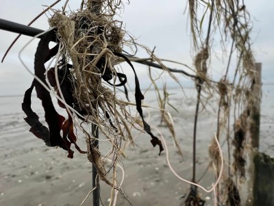 Holiday house House jana - Environment photo 30