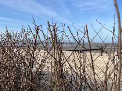 Holiday house House jana - Environment photo 31