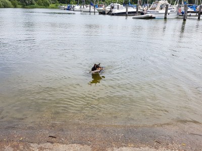 Holiday house House jana - Environment photo 33