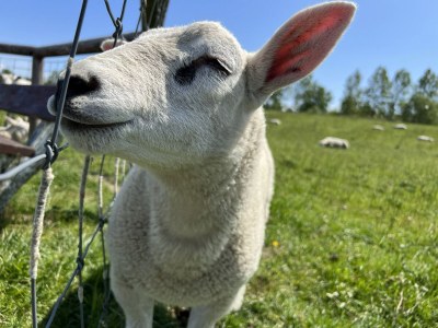 Holiday house House jana - Environment photo 35