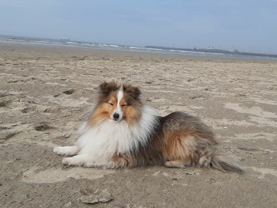 Holiday house House jana - Environment photo 36