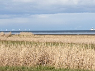 Holiday house House jana - Environment photo 37