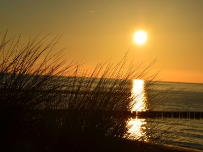 Holiday apartment Hol Wiss - Environment photo 17