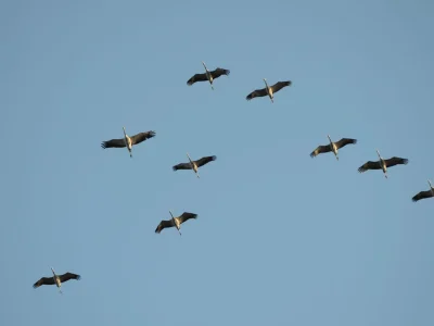 Holiday apartment Hol Wiss - Environment photo 24