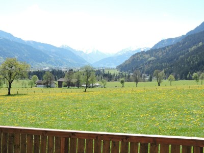 Holiday apartment MÃ¶senlechner - Outdoor photo 6