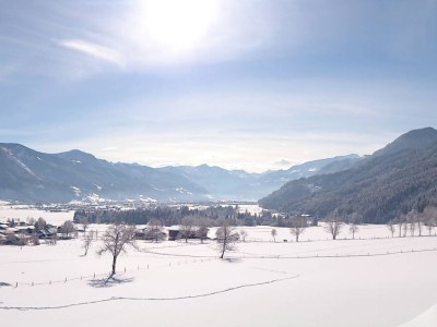 Holiday apartment MÃ¶senlechner - Environment photo 24