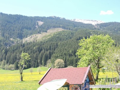 Holiday apartment MÃ¶senlechner - Environment photo 25