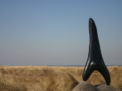 Holiday house Sterrekroos 6 - Environment photo 19