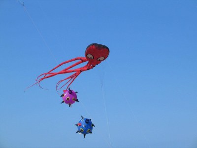 Apartment Duinhof IX E302 - Environment photo 21