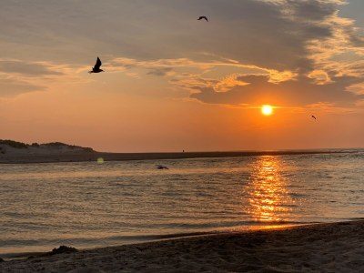 Apartment with sea view; De Branding C4.3 - Environment photo 17