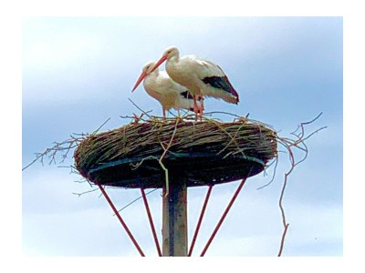Apartment with sea view; De Branding C4.3 - Environment photo 20