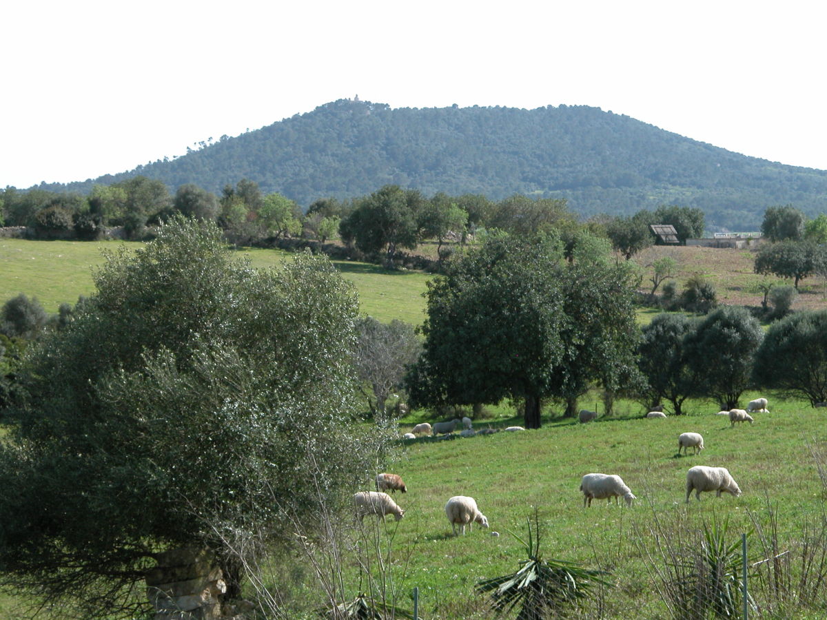 Holiday house Casita Luna - Outdoor photo 3
