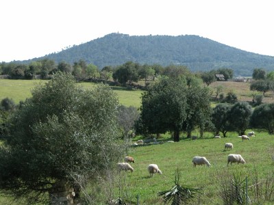 Holiday house Casita Luna - Outdoor photo 3