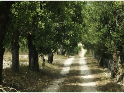 Holiday house Casita Luna - Environment photo 22