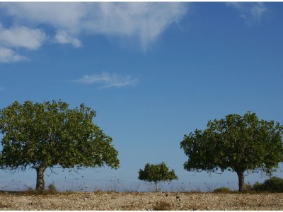 Holiday house Casita Luna - Environment photo 23