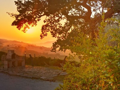 Holiday house Cypressa - Outdoor photo 28