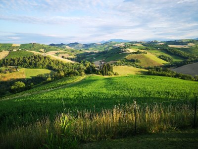 Holiday house Cypressa - Outdoor photo 31