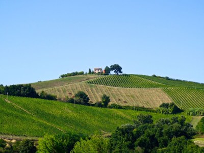 Holiday house Cypressa - Document photo 41