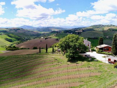 Holiday house Cypressa - Document photo 43