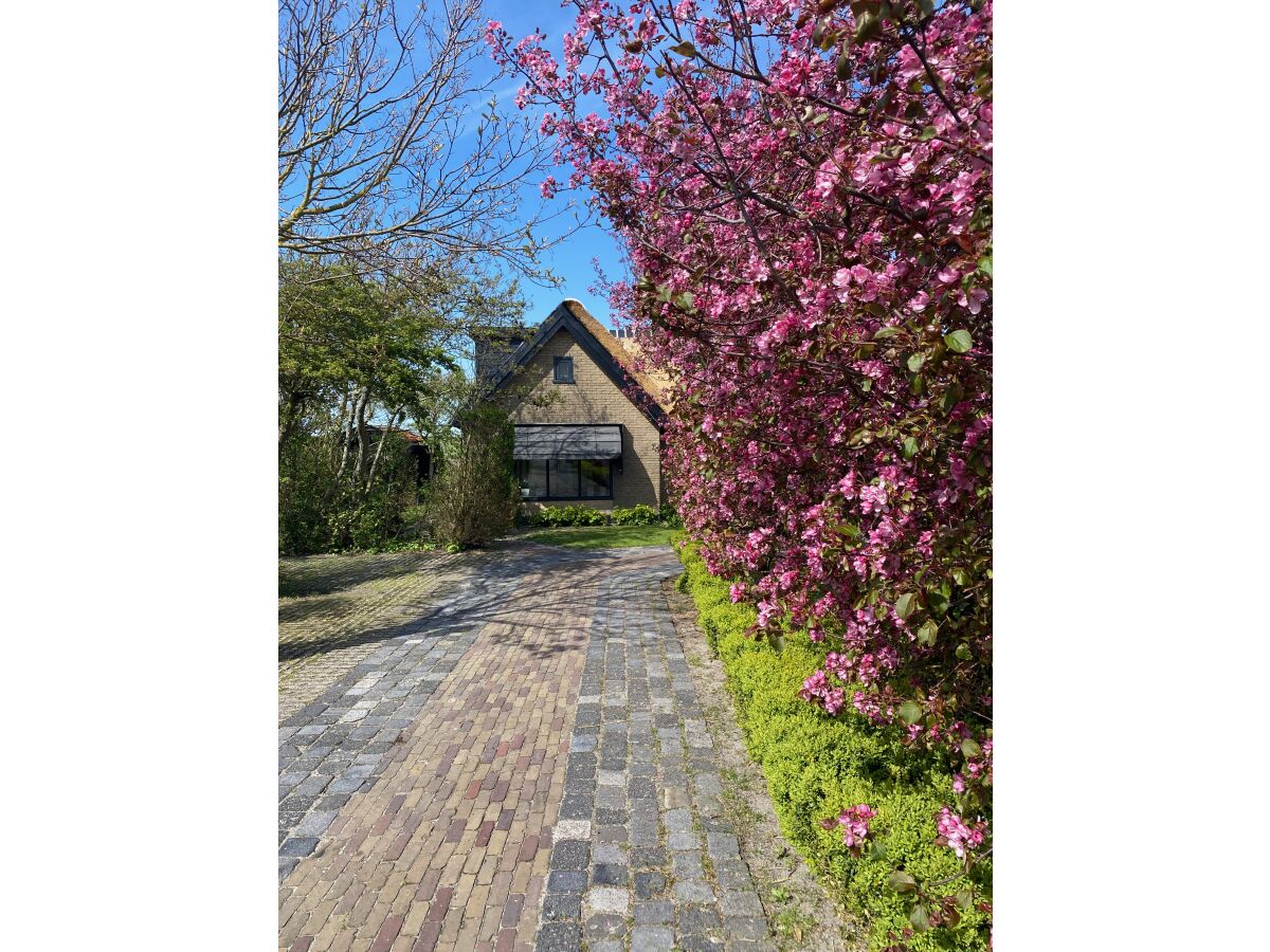 Holiday apartment On the dunes and the North Sea