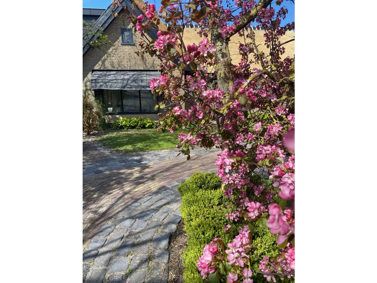 Holiday apartment On the dunes and the North Sea - Outdoor photo 5