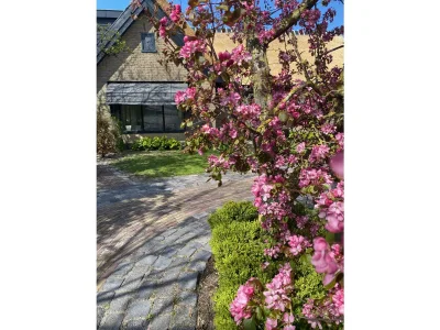 Holiday apartment On the dunes and the North Sea - Outdoor photo 5