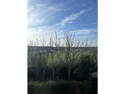 Holiday apartment On the dunes and the North Sea - Features photo 16