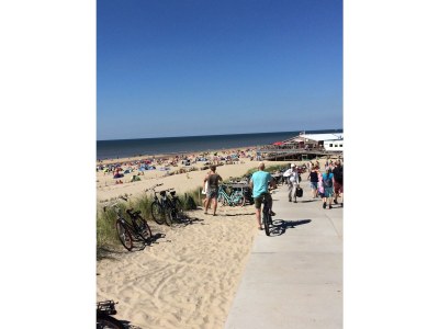 Holiday apartment On the dunes and the North Sea - Environment photo 19