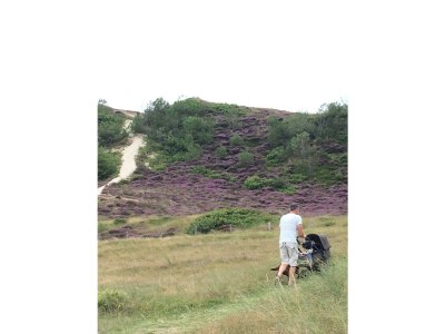 Holiday apartment On the dunes and the North Sea - Environment photo 20