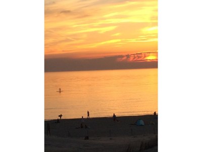 Holiday apartment On the dunes and the North Sea - Environment photo 21