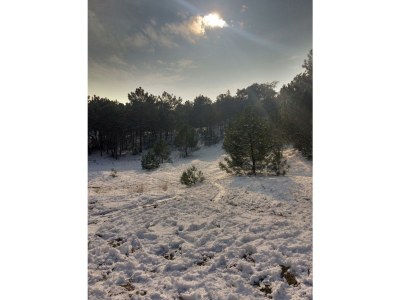 Holiday apartment On the dunes and the North Sea - Environment photo 24