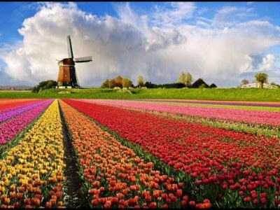 Holiday apartment On the dunes and the North Sea - Environment photo 25