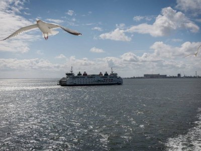Holiday apartment On the dunes and the North Sea - Environment photo 26