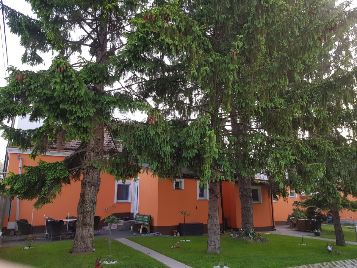 Holiday apartment Ferienwohnung Taca - Outdoor photo 3