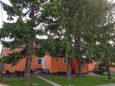 Holiday apartment Ferienwohnung Taca - Outdoor photo 3